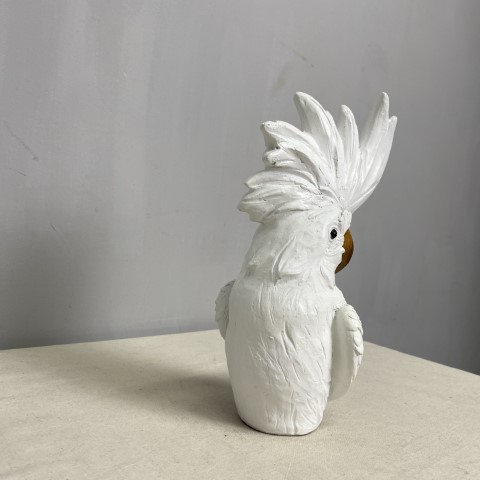 Small White Cockatoo