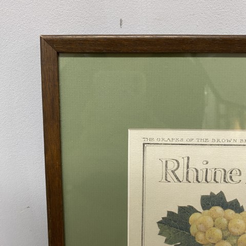 Vintage 'Rhine Riesling' Art