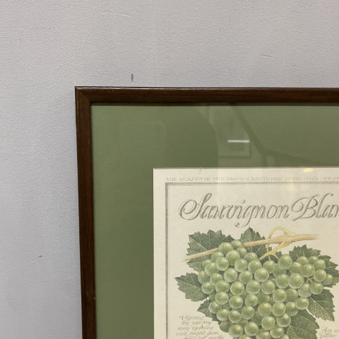 Vintage 'Sauvignon Blanc' Art