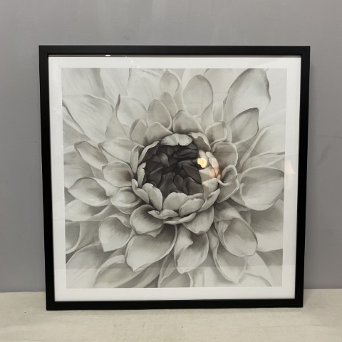 Framed Black & White Flower Art