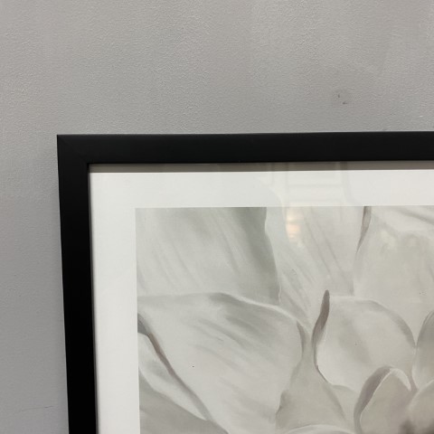 Framed Black & White Flower Art