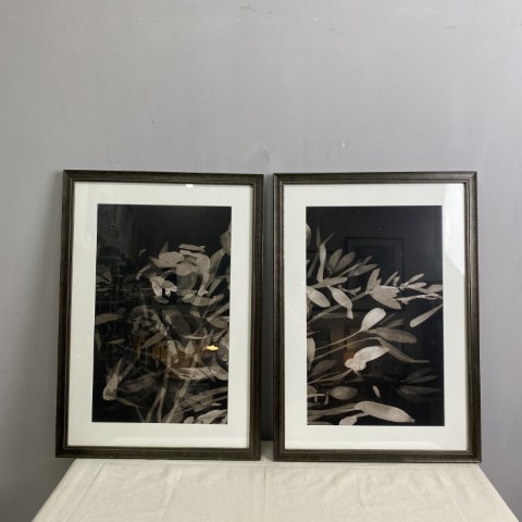 Pair of 'Night Bloom' Framed Artworks