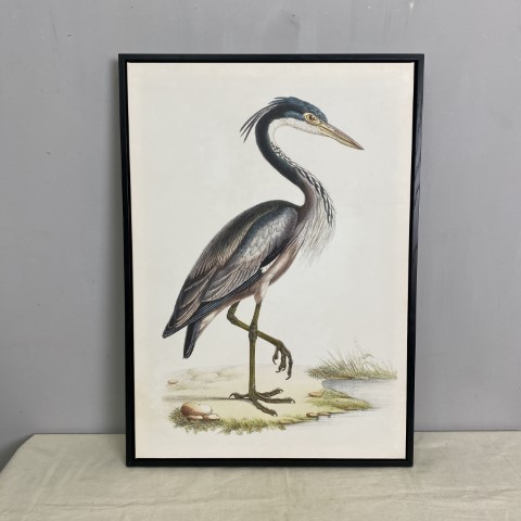 Vintage Style Heron Print #1