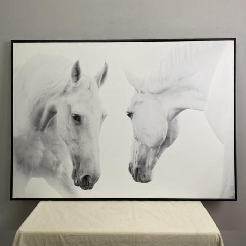 Horse Reflection Canvas Wall Art