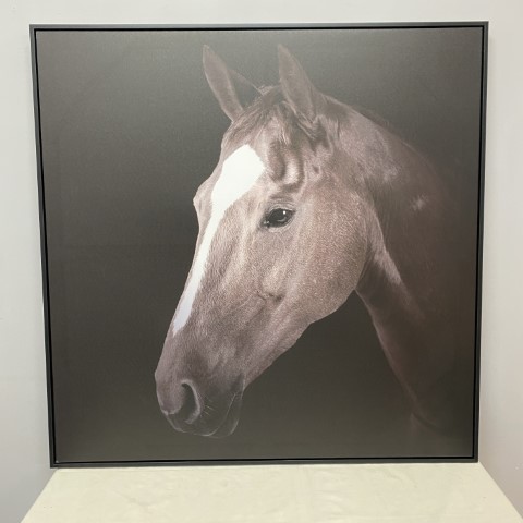 Dark Horse Canvas Print