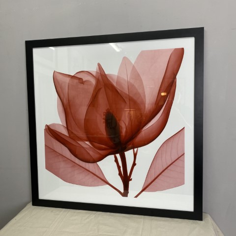 Framed Red Flower Art Print