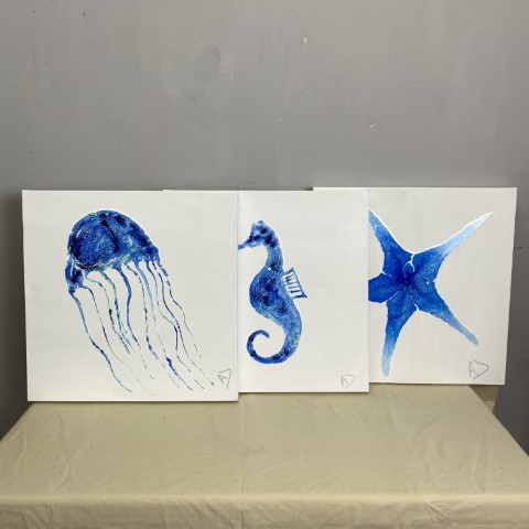 Set of 3 Coastal Ocean Life Paintings on Canvas