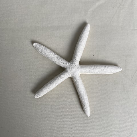 Cream Decorative Coastal Starfish