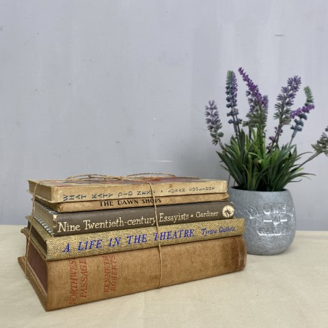 Vintage Book Stack 10