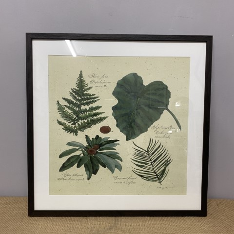 Vintage Style Botanical Print