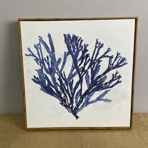 Framed Coral Wall Art