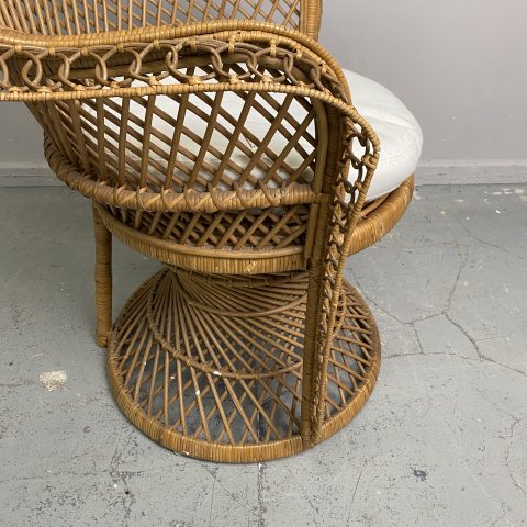 Boho Cane Peacock Chair