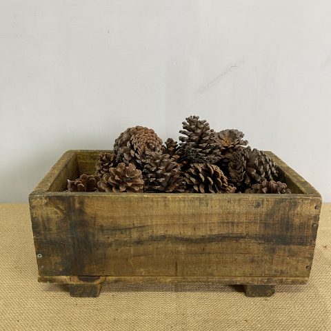 Rustic Box with Pine Cones