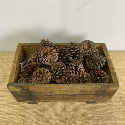 Rustic Box with Pine Cones