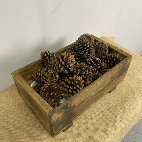 Rustic Box with Pine Cones