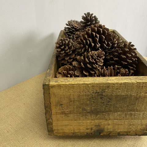 Rustic Box with Pine Cones