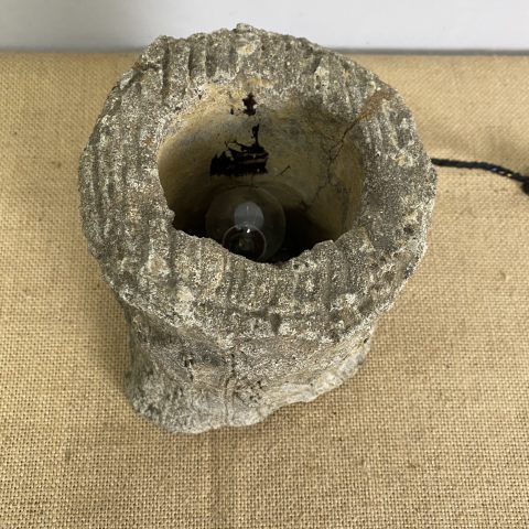 Concrete Tree Trunk Lamp