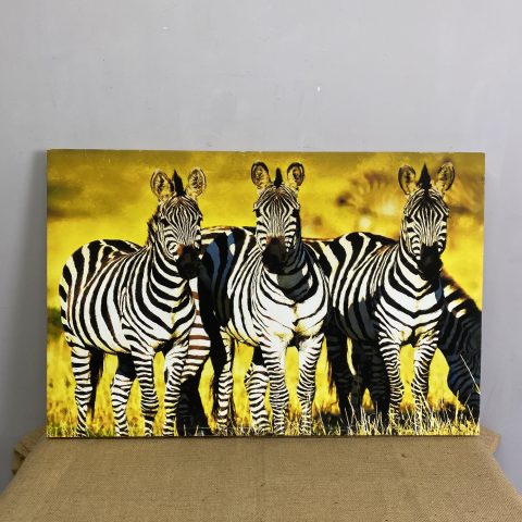 Group of Zebras Canvas Print