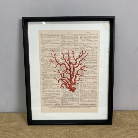 Framed Vintage Style Coral Artwork