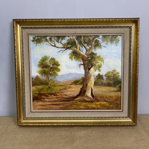 Framed Oil Painting by H. Hall - Australian Outback