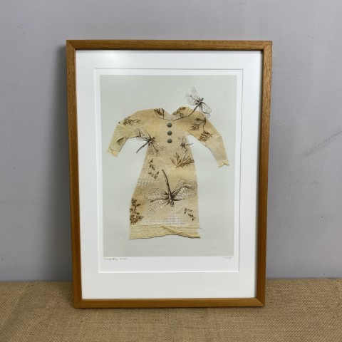 Framed Collage Artwork - 'Dragonfly Dress'