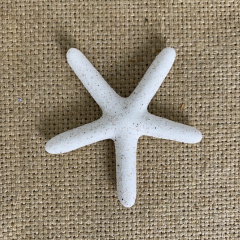 White Ceramic Starfish