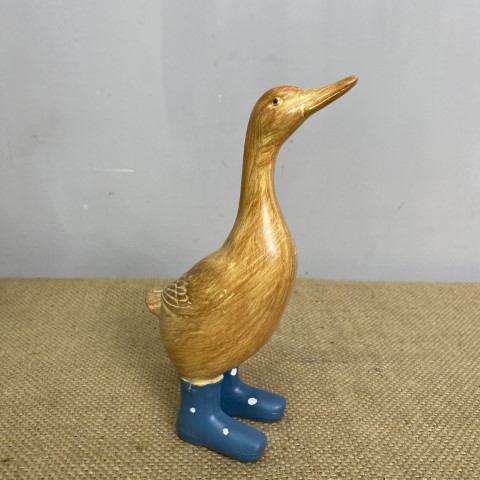 Small Duck in Blue Boots