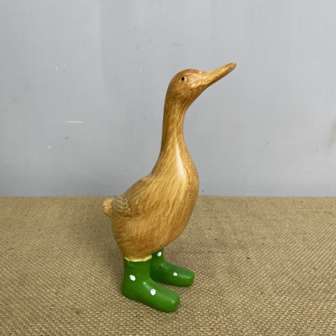 Small Duck in Green Boots