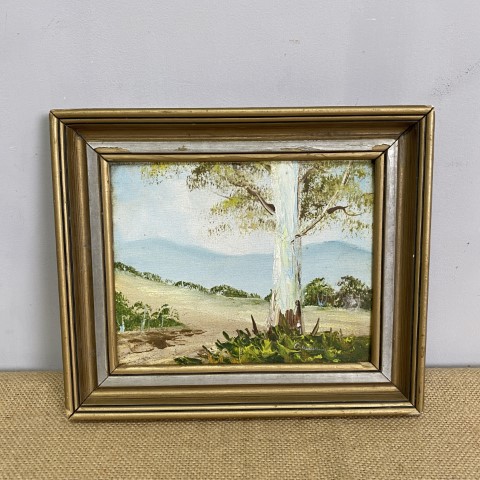 Framed Gum Tree Painting