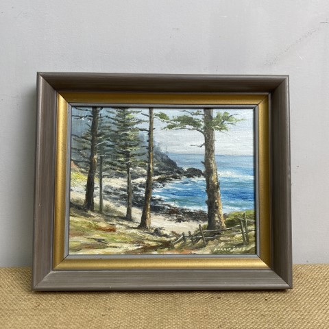 'Bumbora Beach, Norfolk Island' - Framed Oil Painting