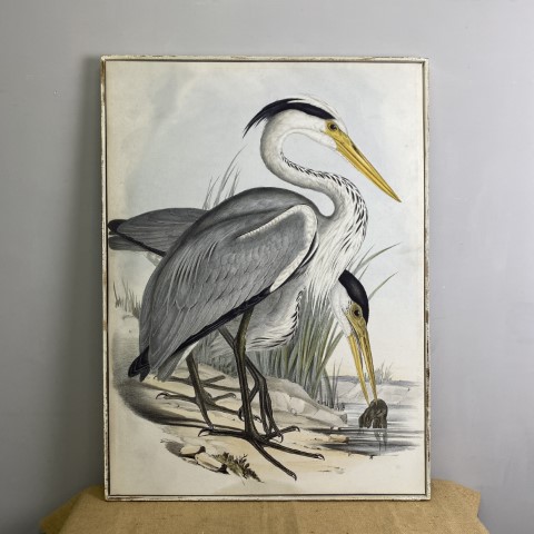 Large Vintage Style Heron Wall Art Print