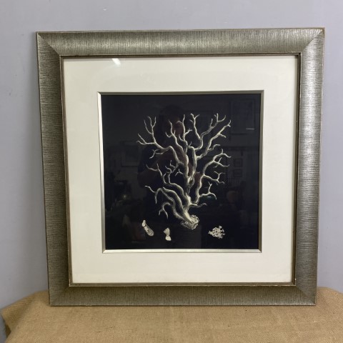 Framed Black & White Coral Illustration