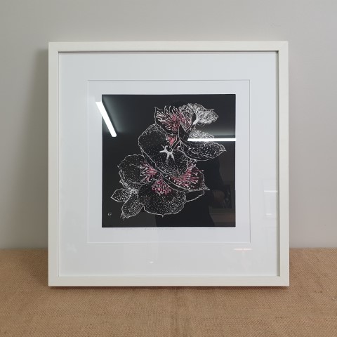 Framed Botanical Print (Signed by Artist)