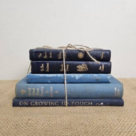 Vintage Book Stack