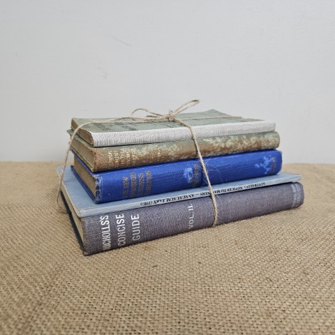 Vintage Book Stack