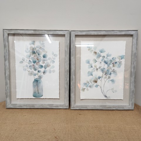 Pair of Framed Botanical Prints