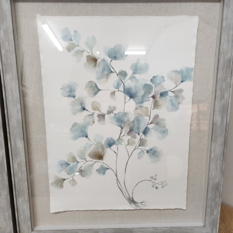 Pair of Framed Botanical Prints