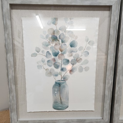 Pair of Framed Botanical Prints