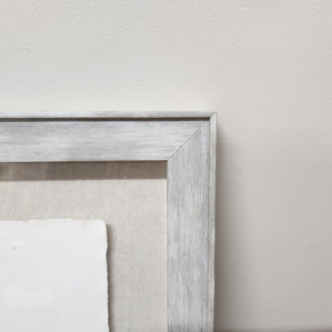Pair of Framed Botanical Prints