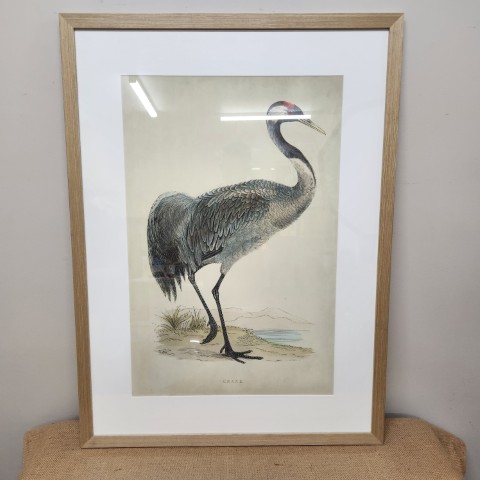 La Grolla Crane Artwork #2
