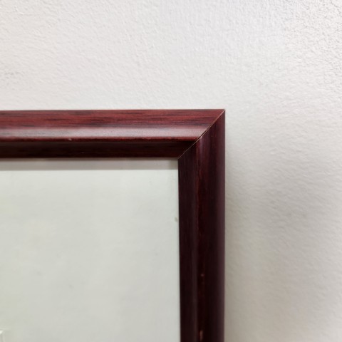 Mark Woodford & Todd Woodbridge Framed Photograph
