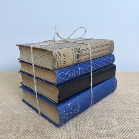 Vintage Book Stack 16