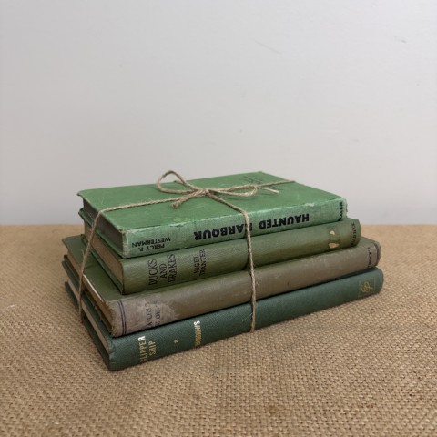 Vintage Book Stack 19