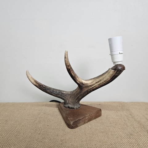 Vintage Antler Lamp
