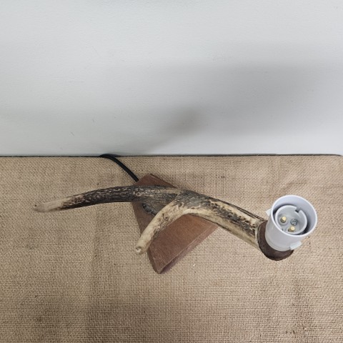 Vintage Antler Lamp