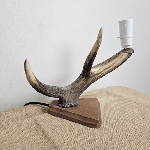 Vintage Antler Lamp