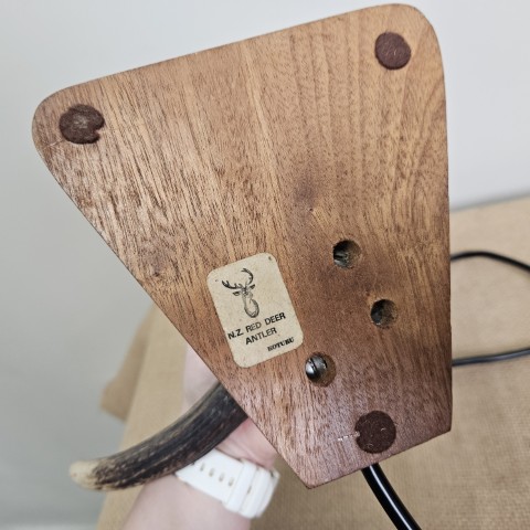 Vintage Antler Lamp
