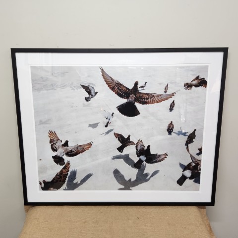 "Birds in Flight" Print in Black Frame