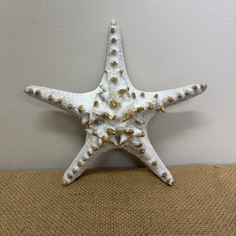 Wall Hanging Starfish