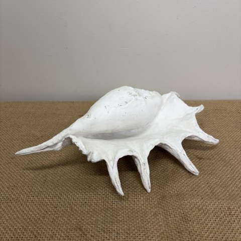Faux Spider Conch Shell